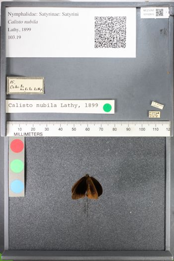 Media type: image;   Entomology 102815
